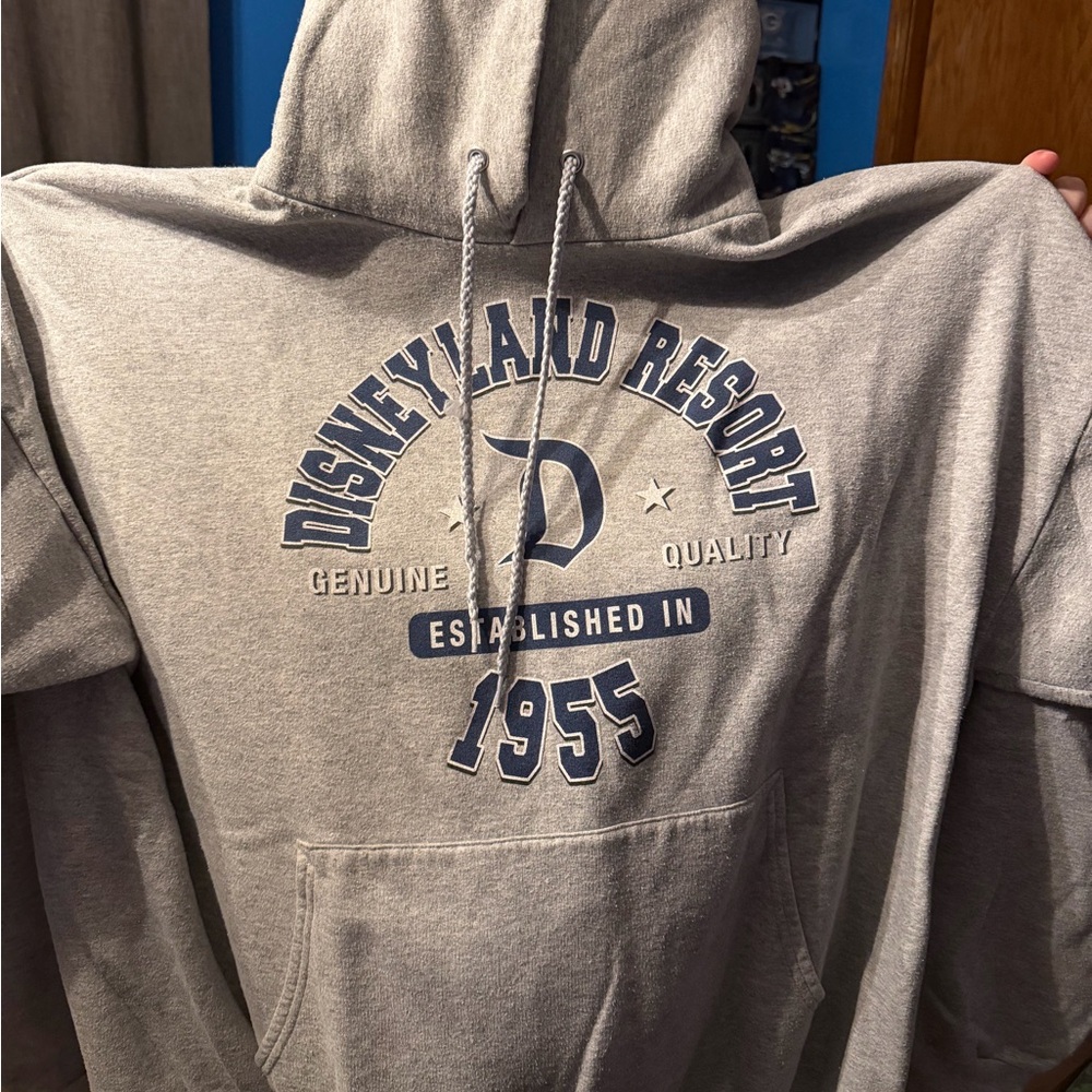 Men’s Grey Disneyland Hoodie size 3xl